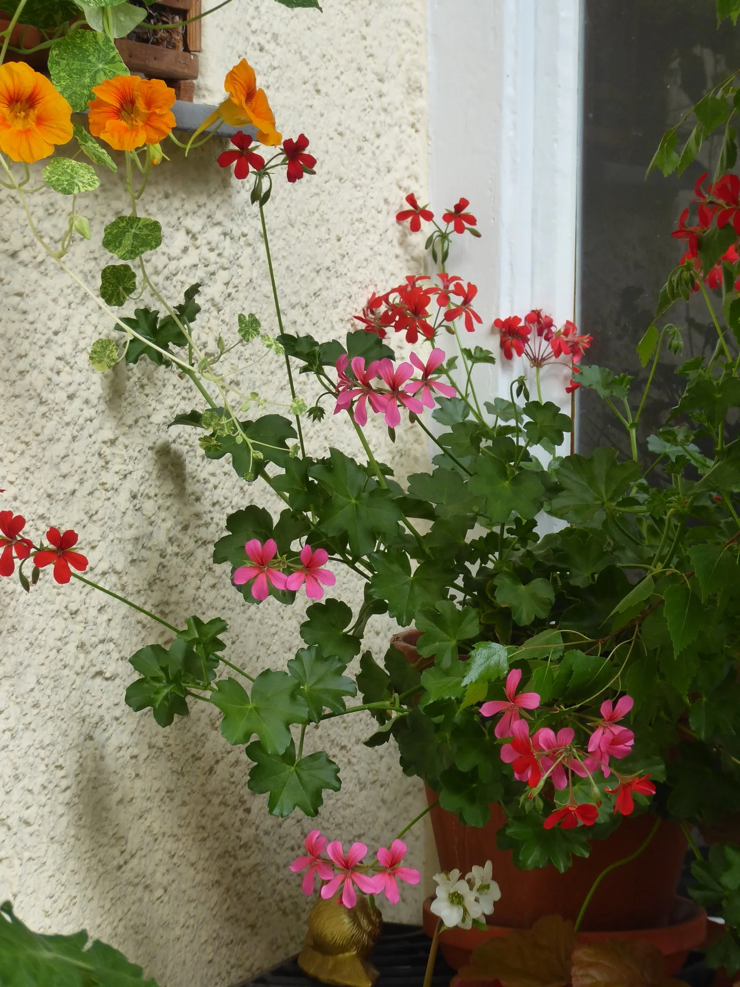 P1110172.webp