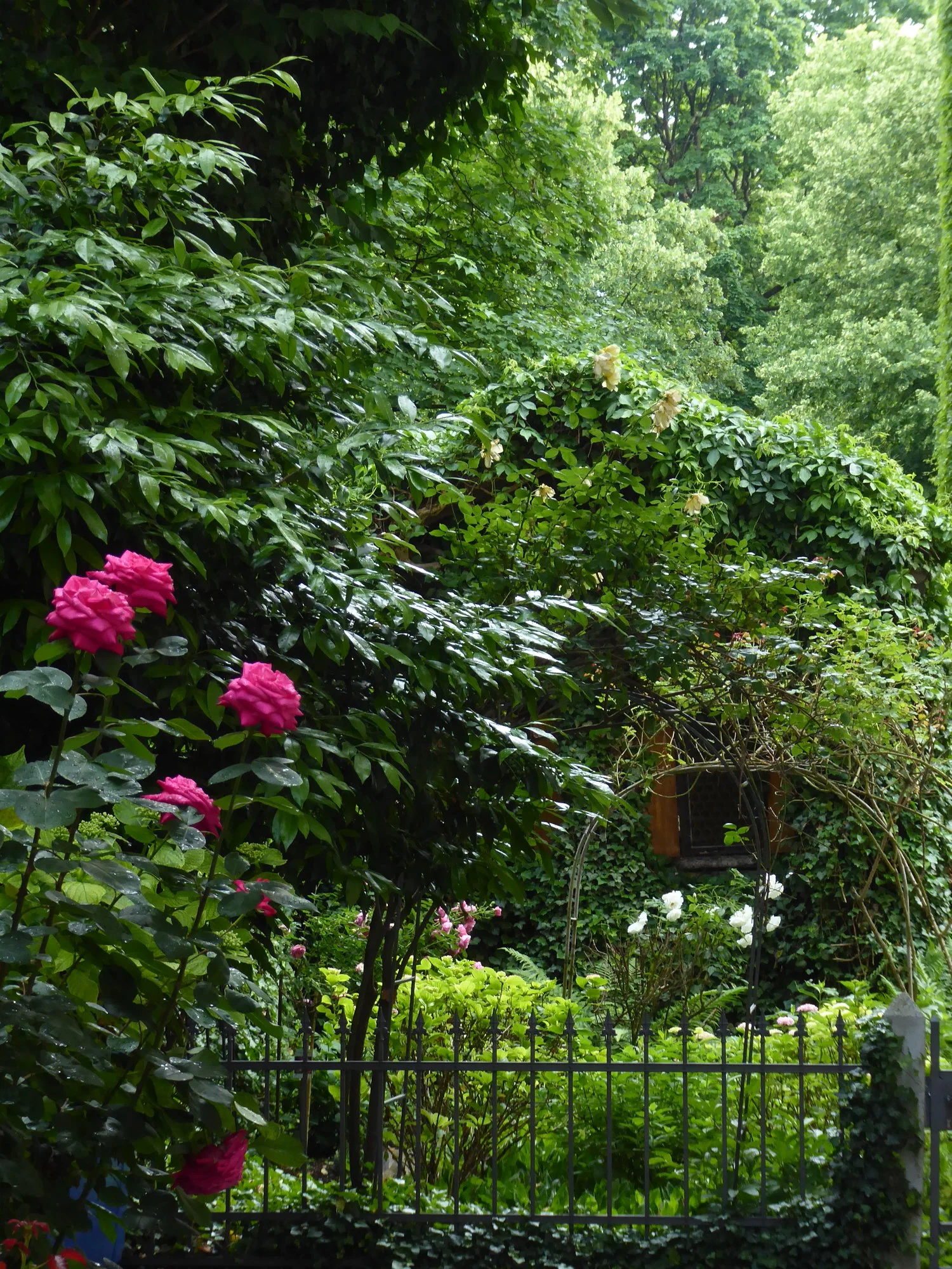 P1110279.webp