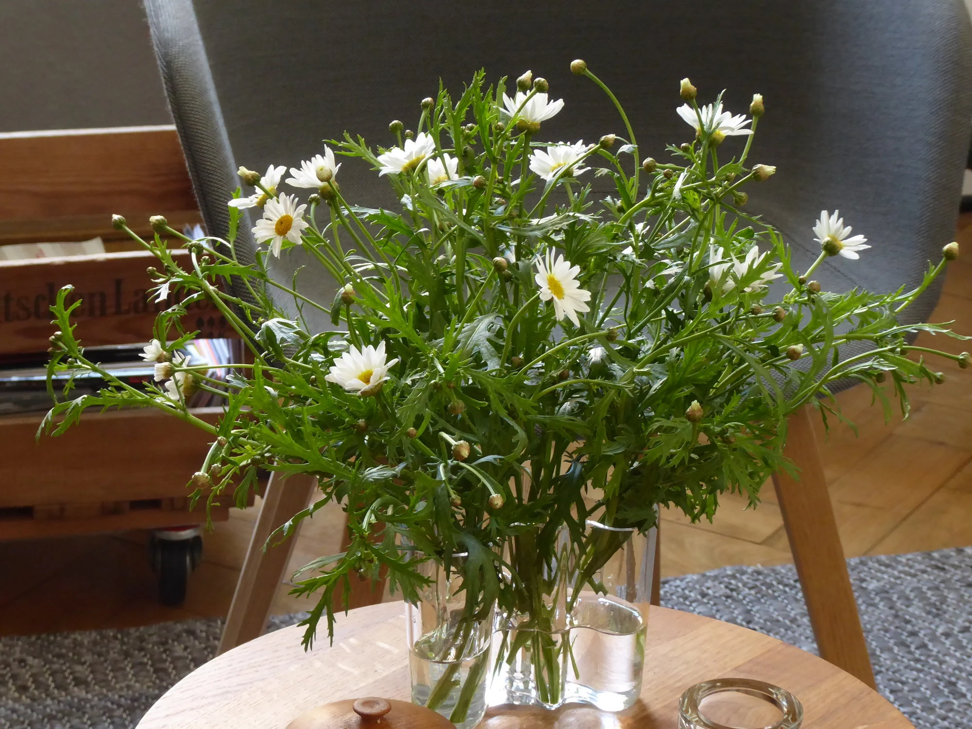 P1110439.JPG