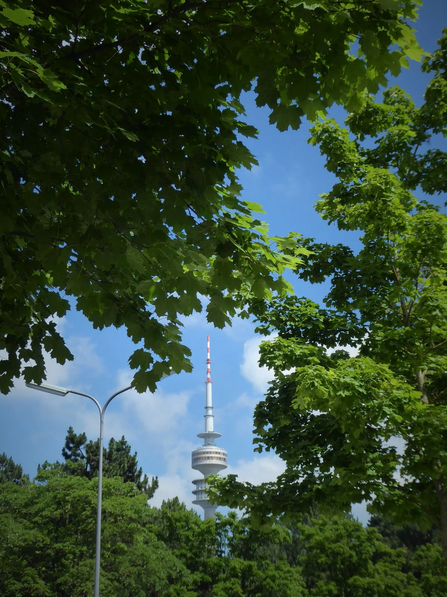 P1110529.webp