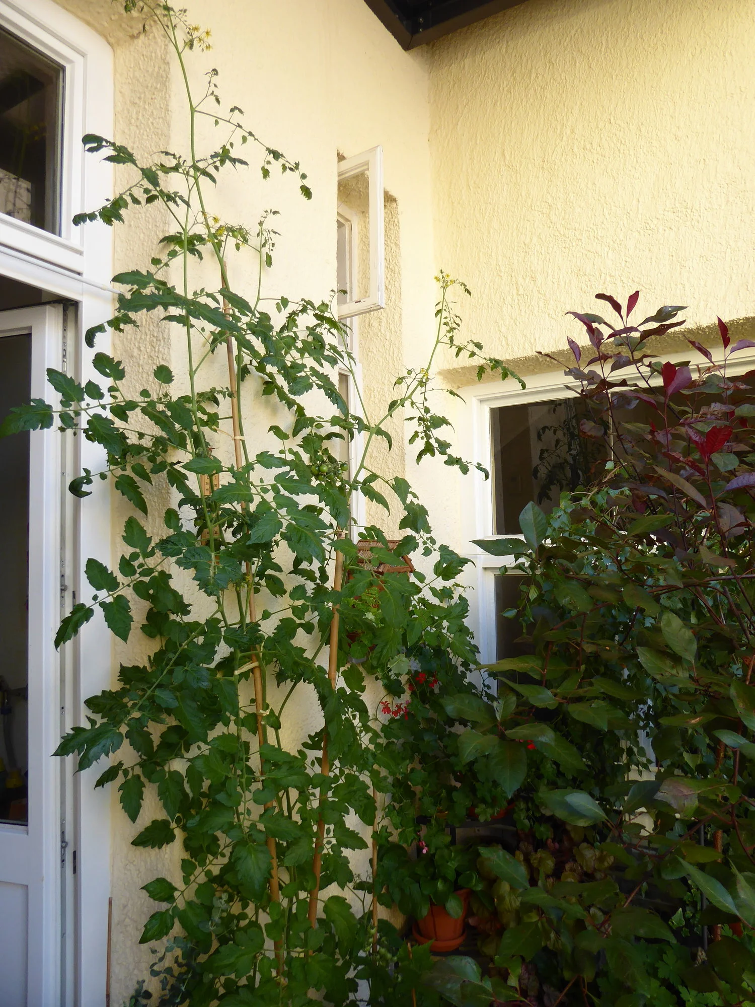P1110861.webp