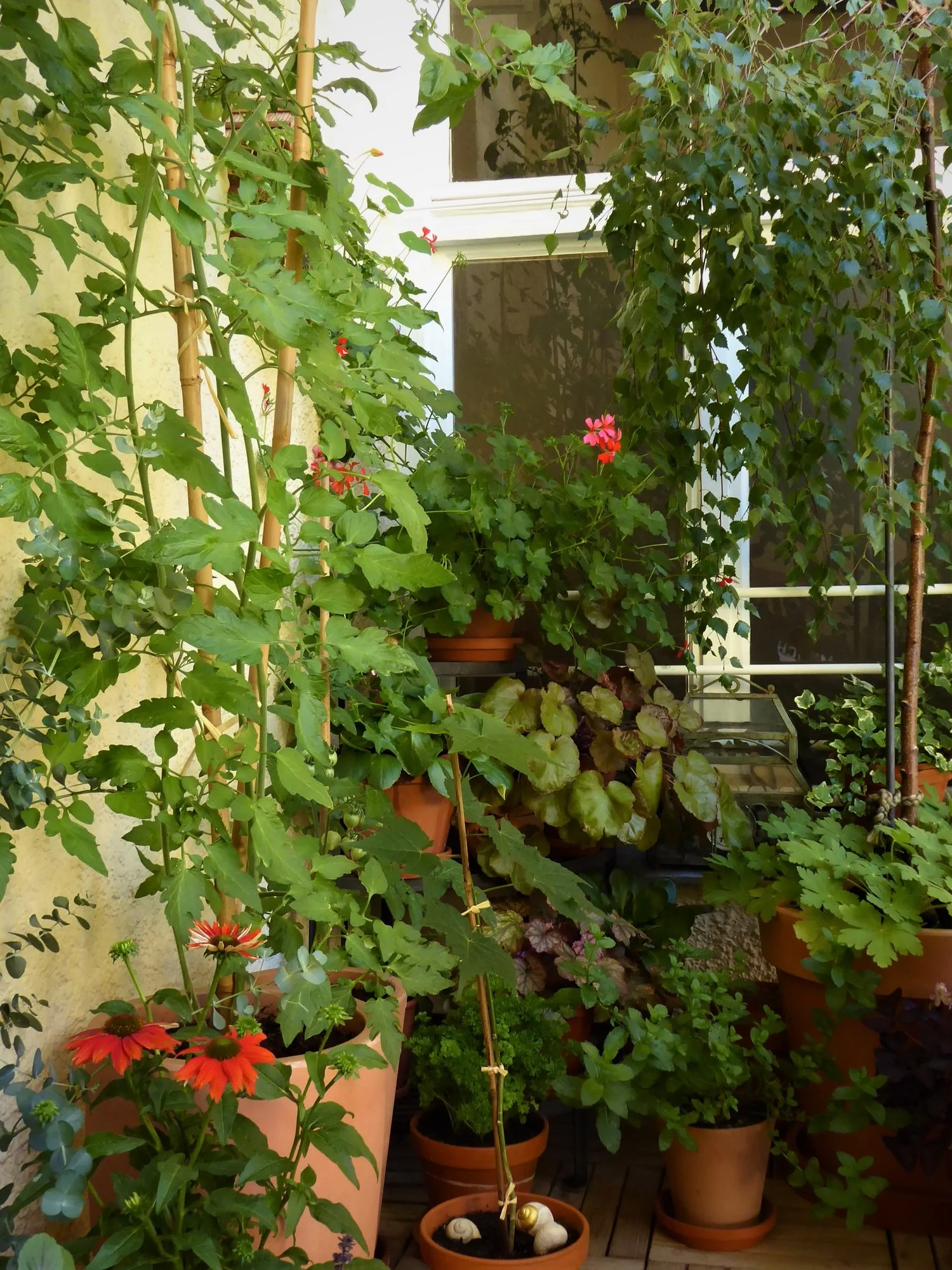 P1110967.webp