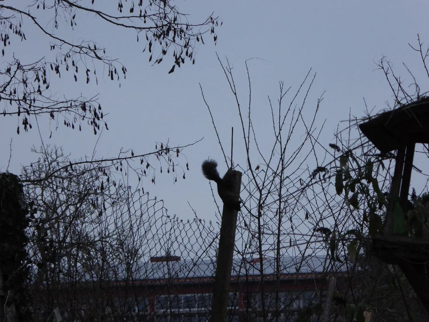 P1110992.webp