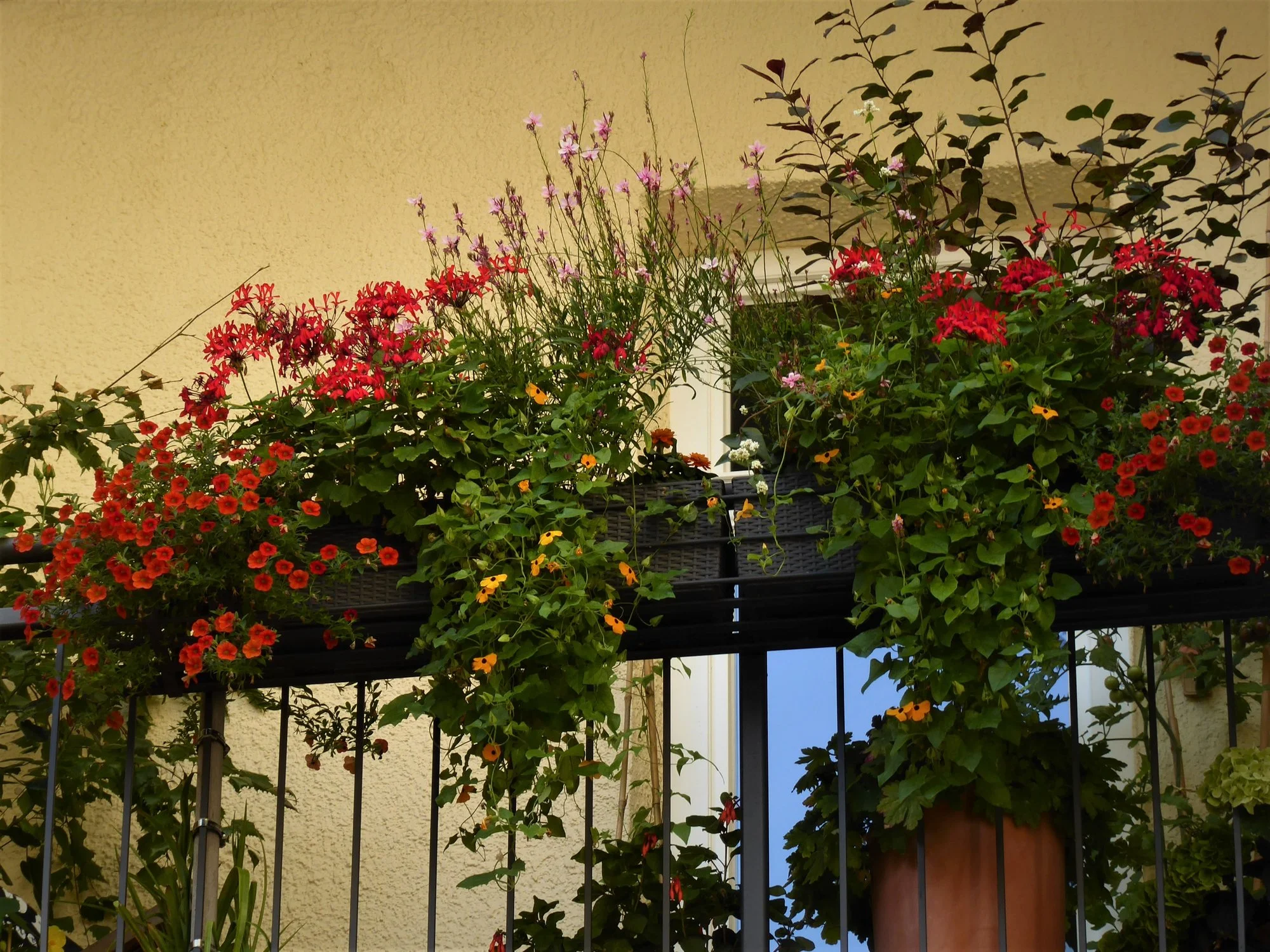 P1120204.webp