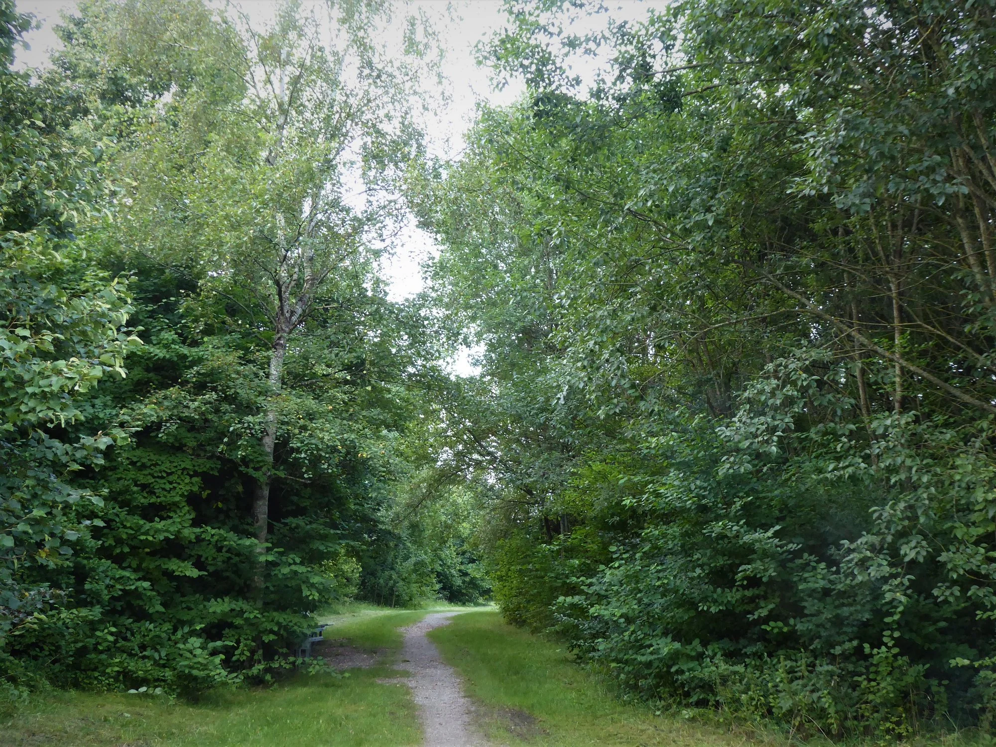 P1120215.webp