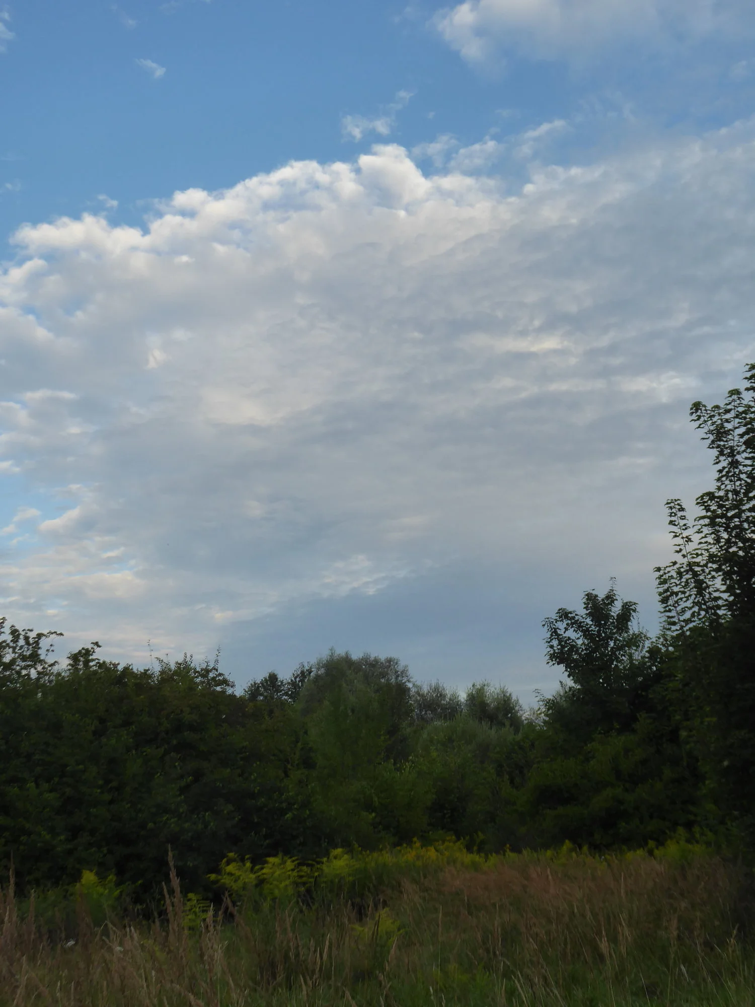 P1120217.webp