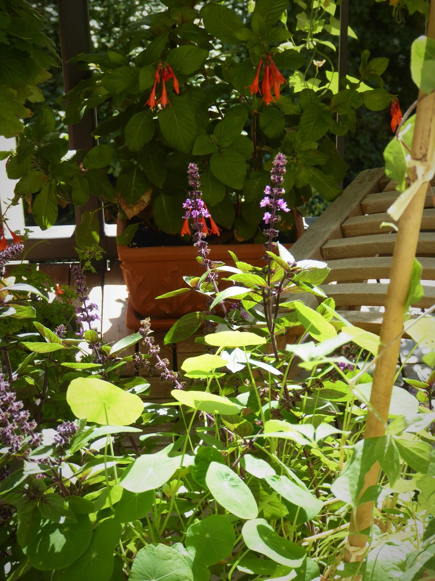 P1120336.webp