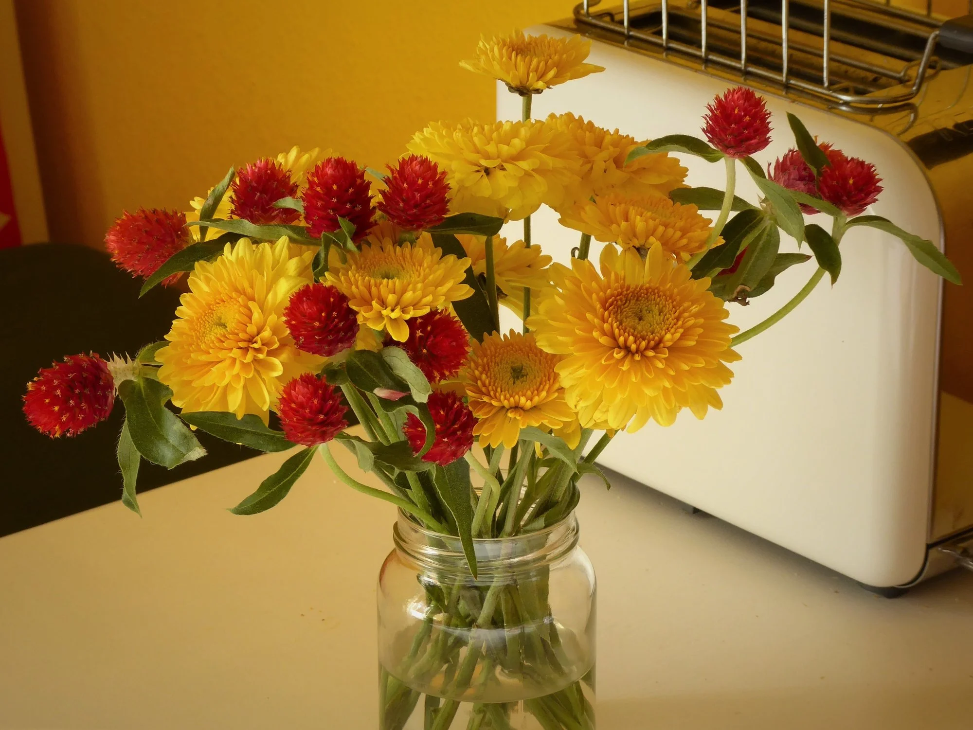 P1120587.webp