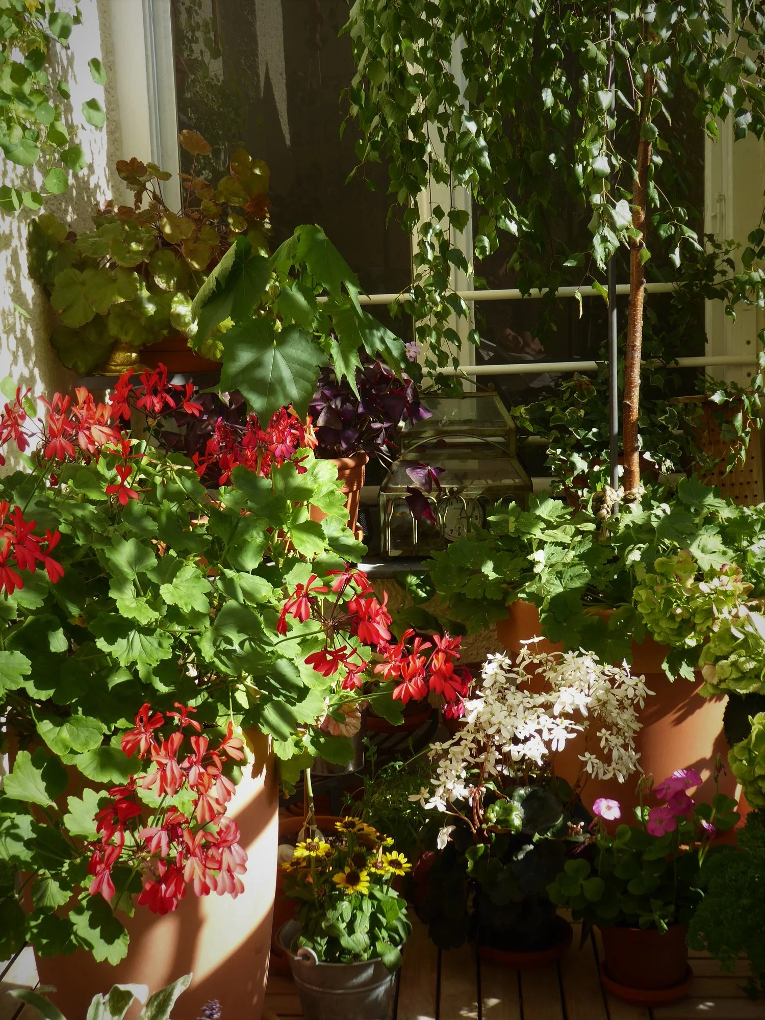 P1120717.webp