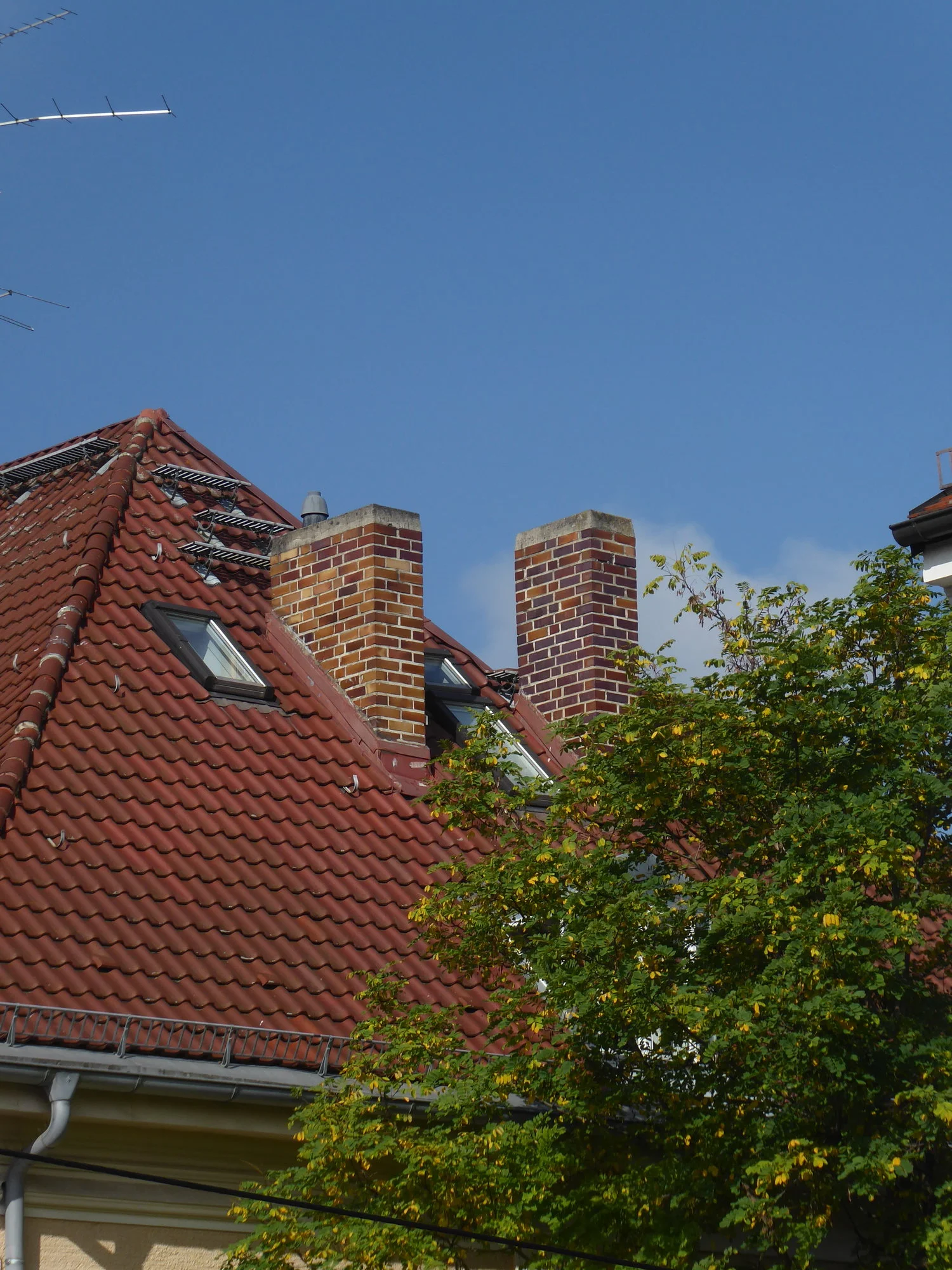 P1120832.webp