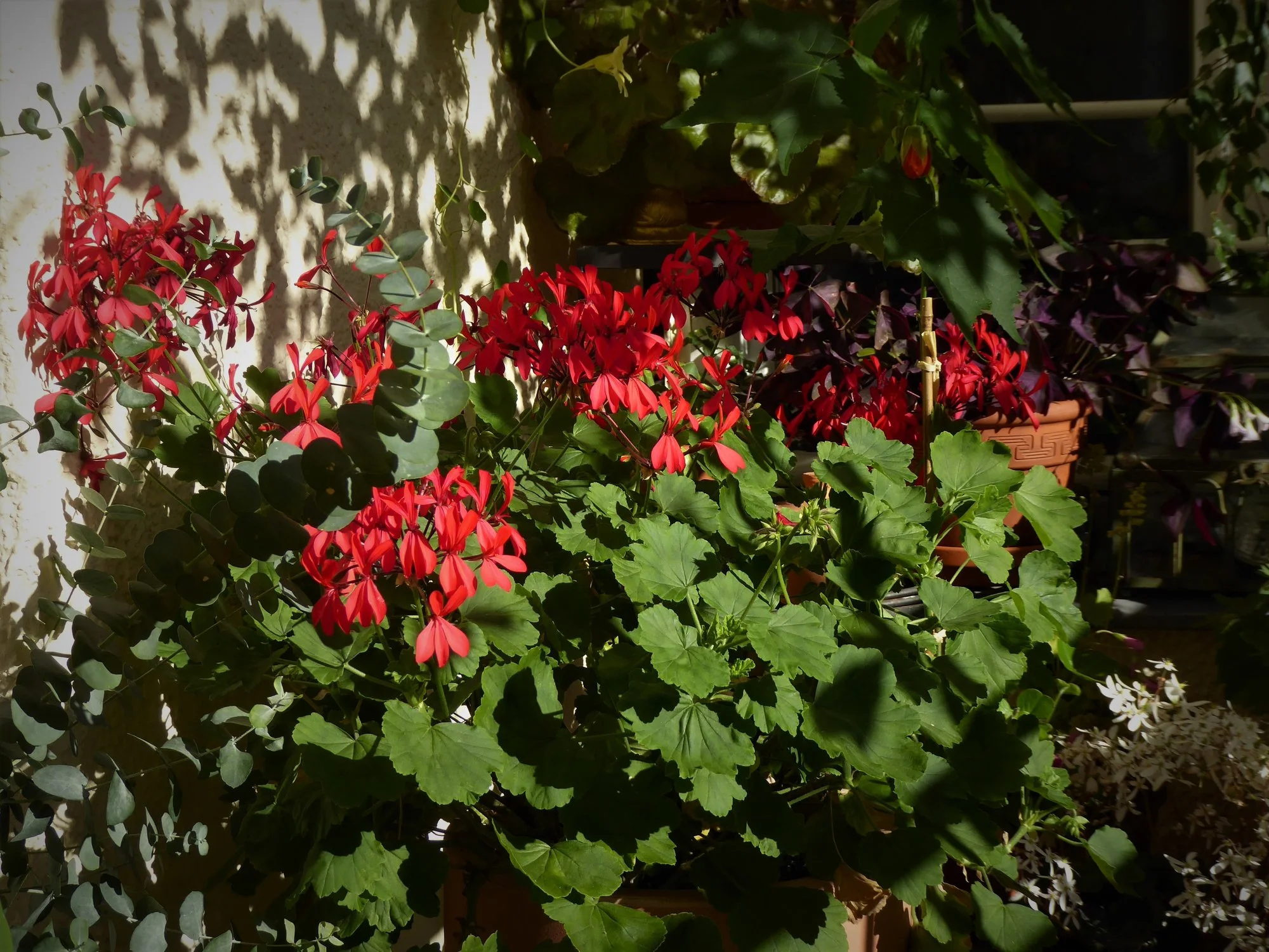 P1120848.webp