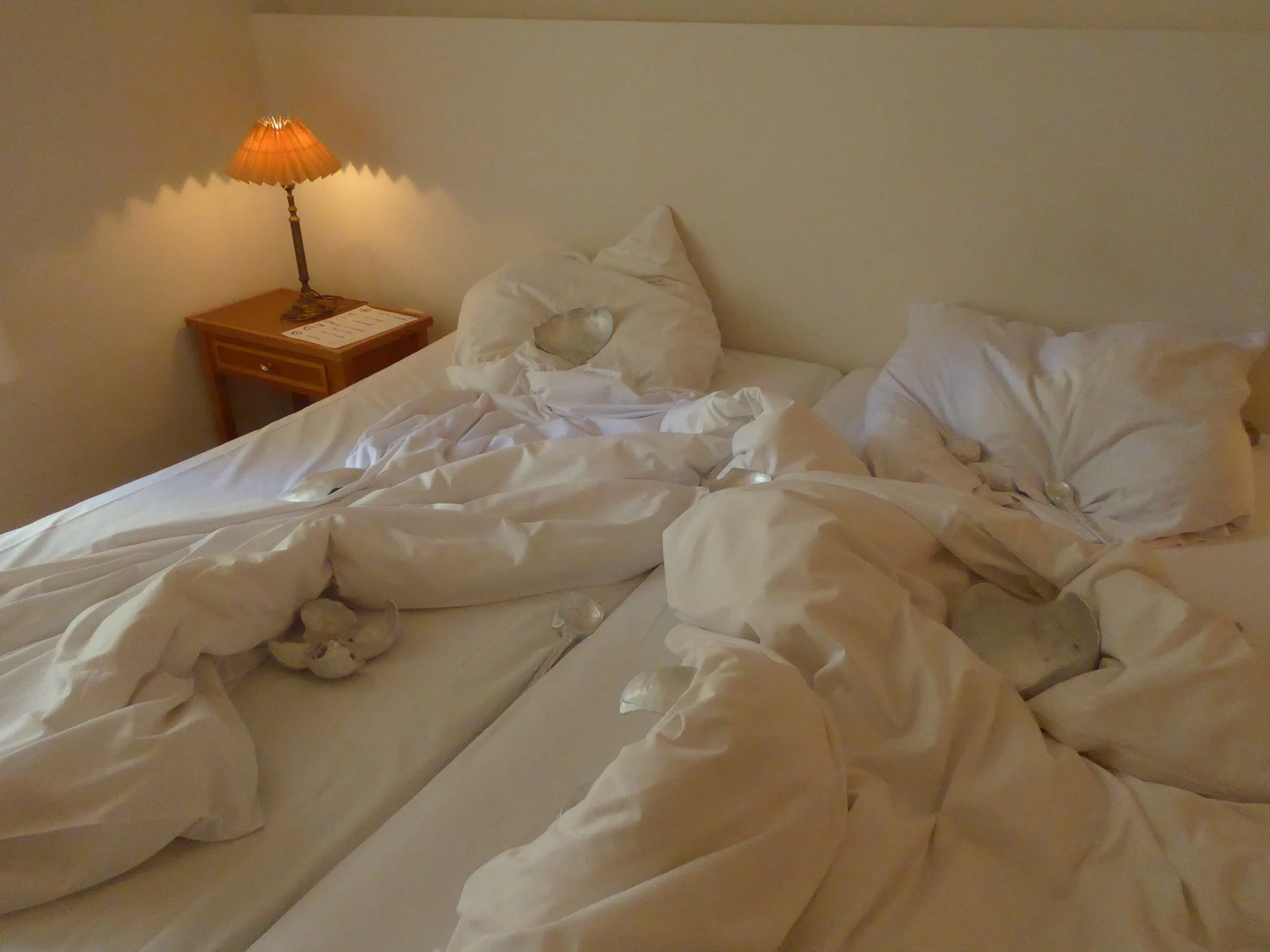 P1120924.webp