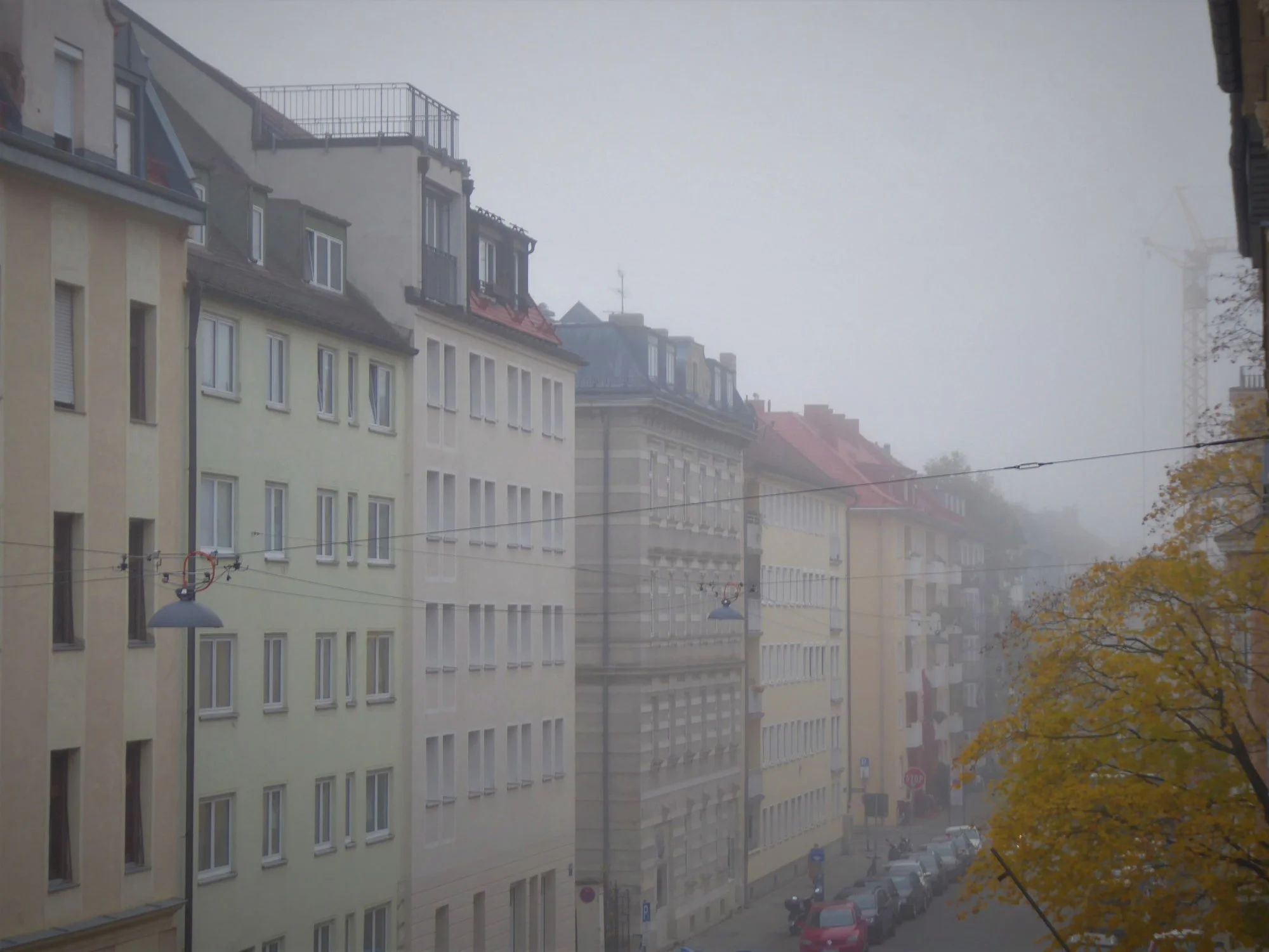 P1130138.webp