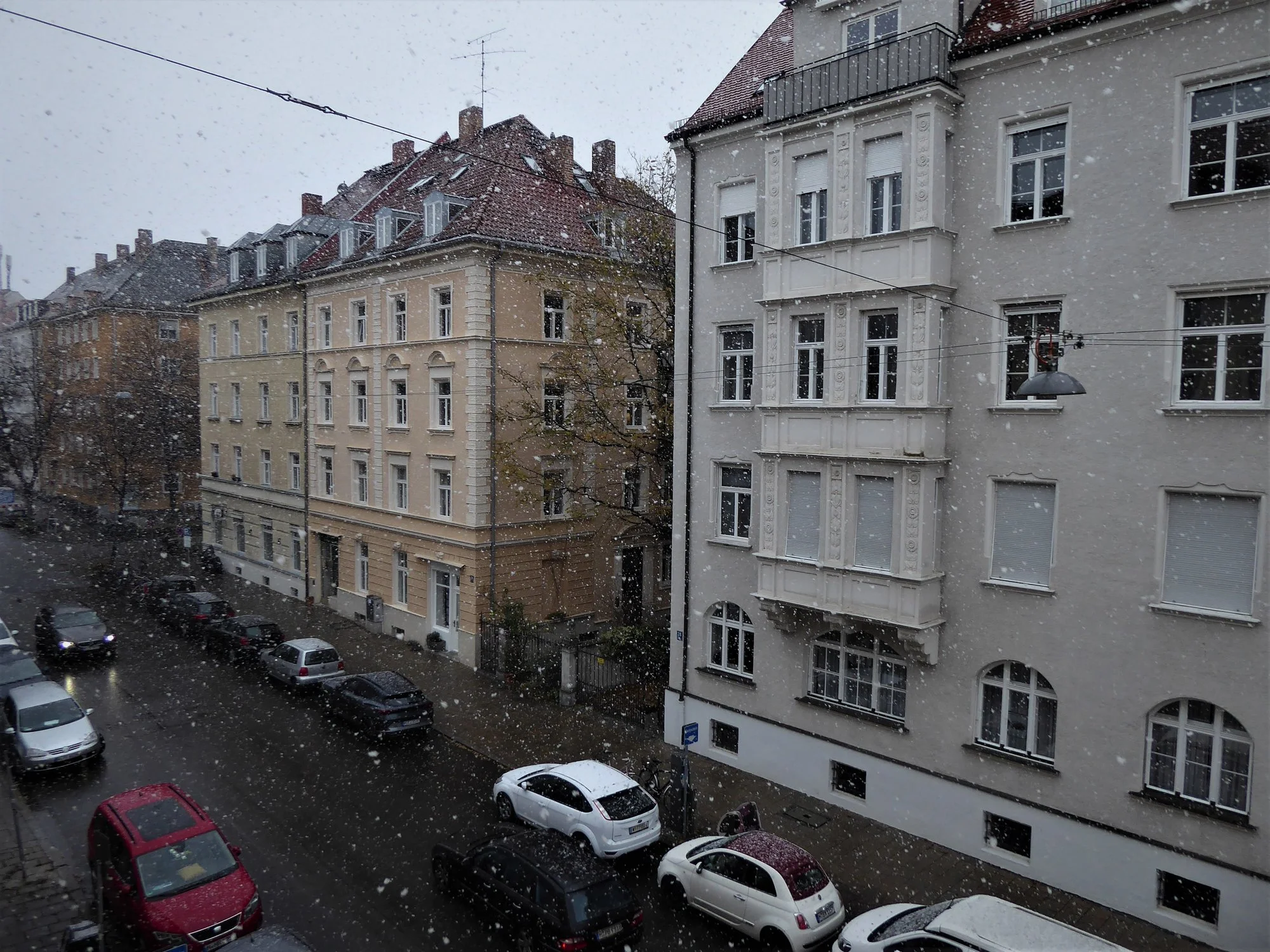 P1130405.webp