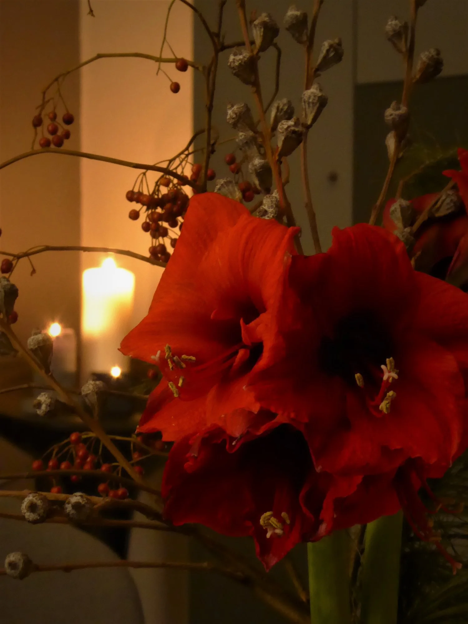 P1130590.webp
