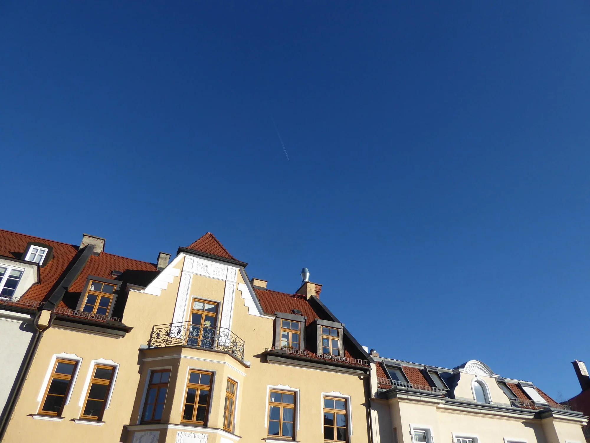 P1130681.webp