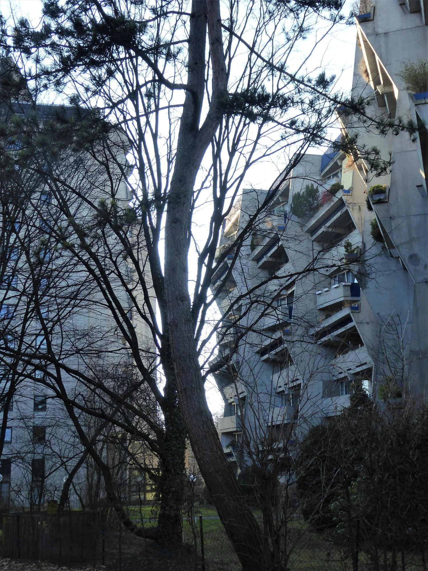 P1130860.JPG