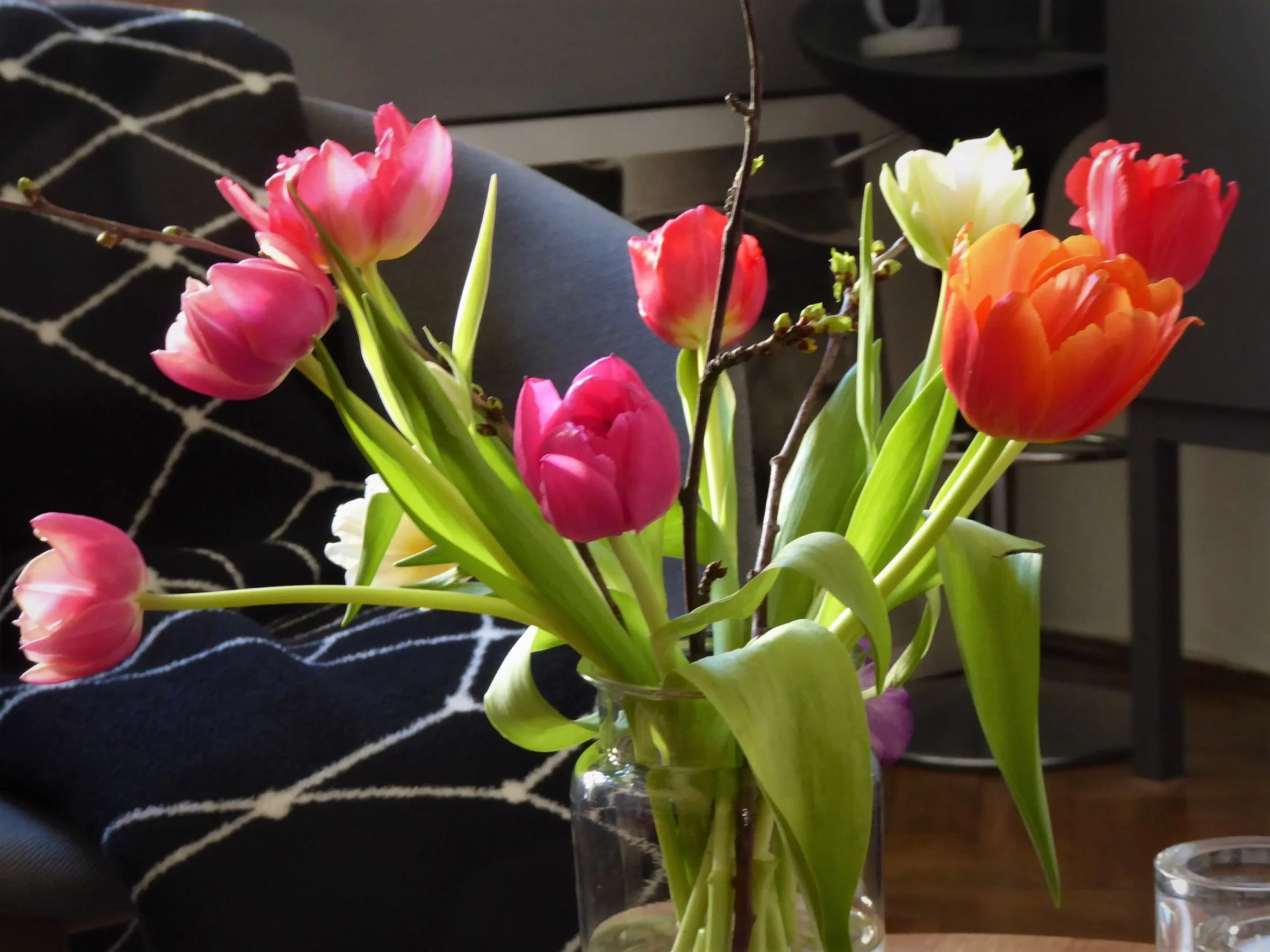 P1130883.webp