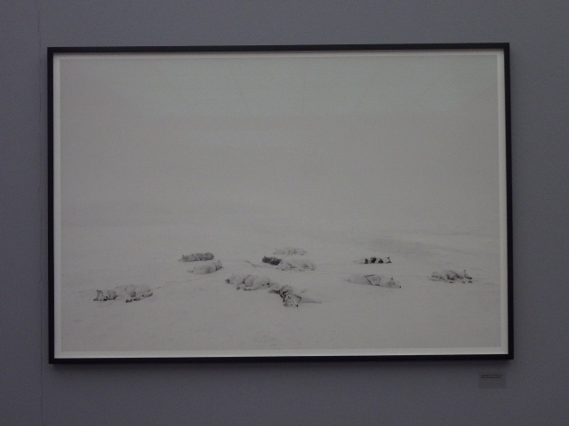 P1130974.JPG