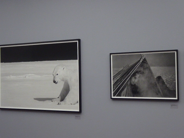 P1130989.JPG