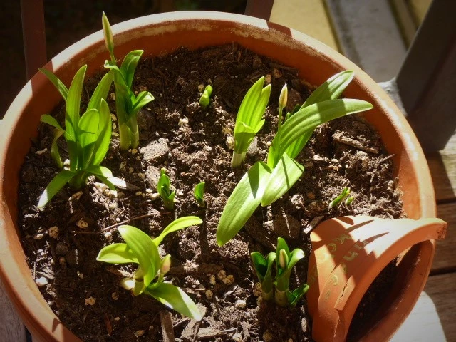 P1140061.webp
