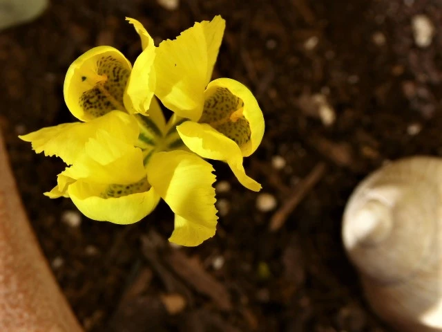 P1140063.webp
