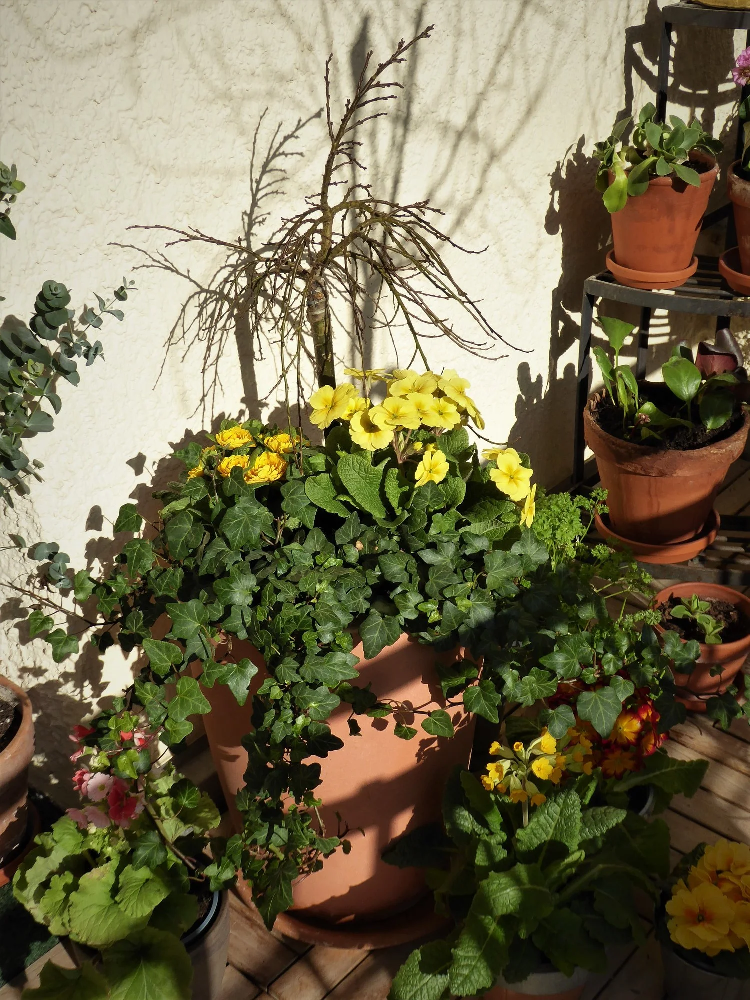 P1140191.webp