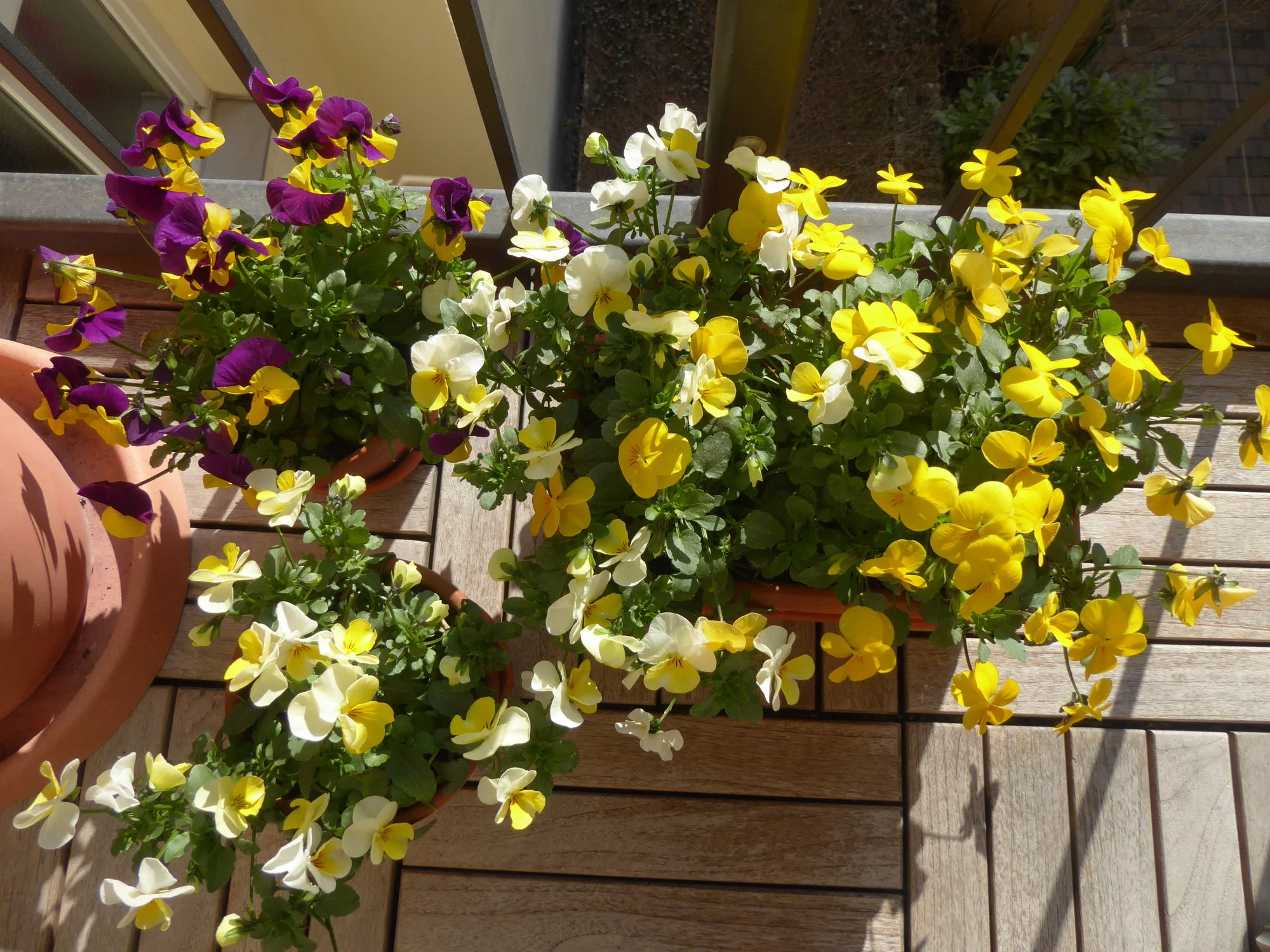 P1140350.webp