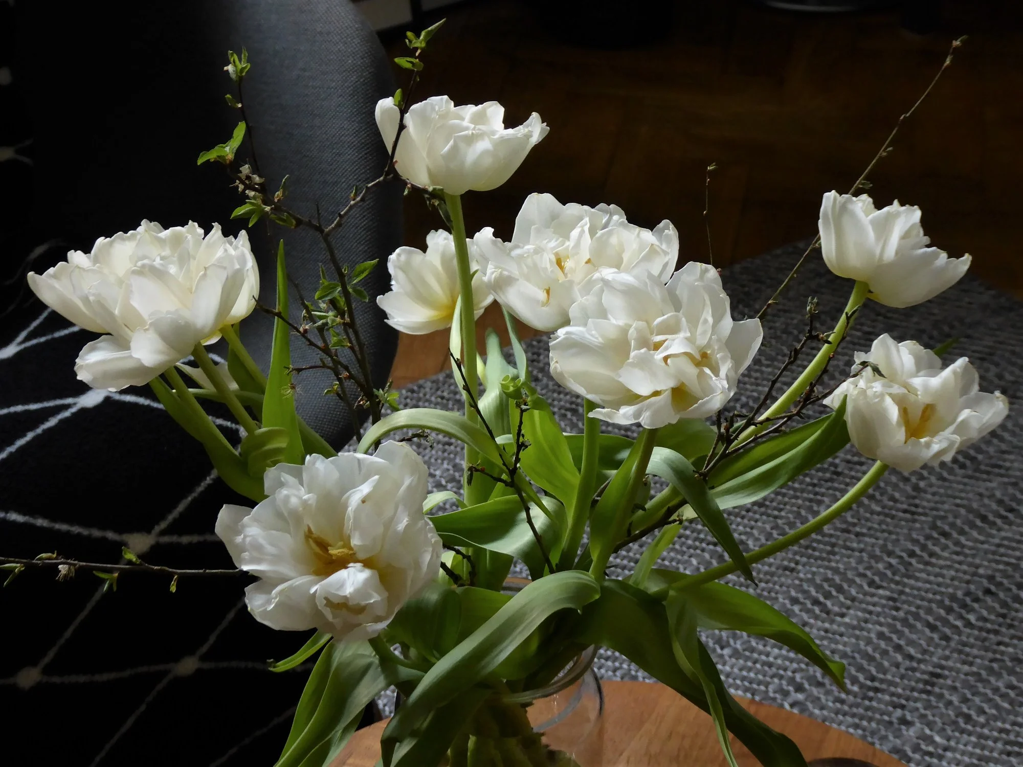 P1140599.webp