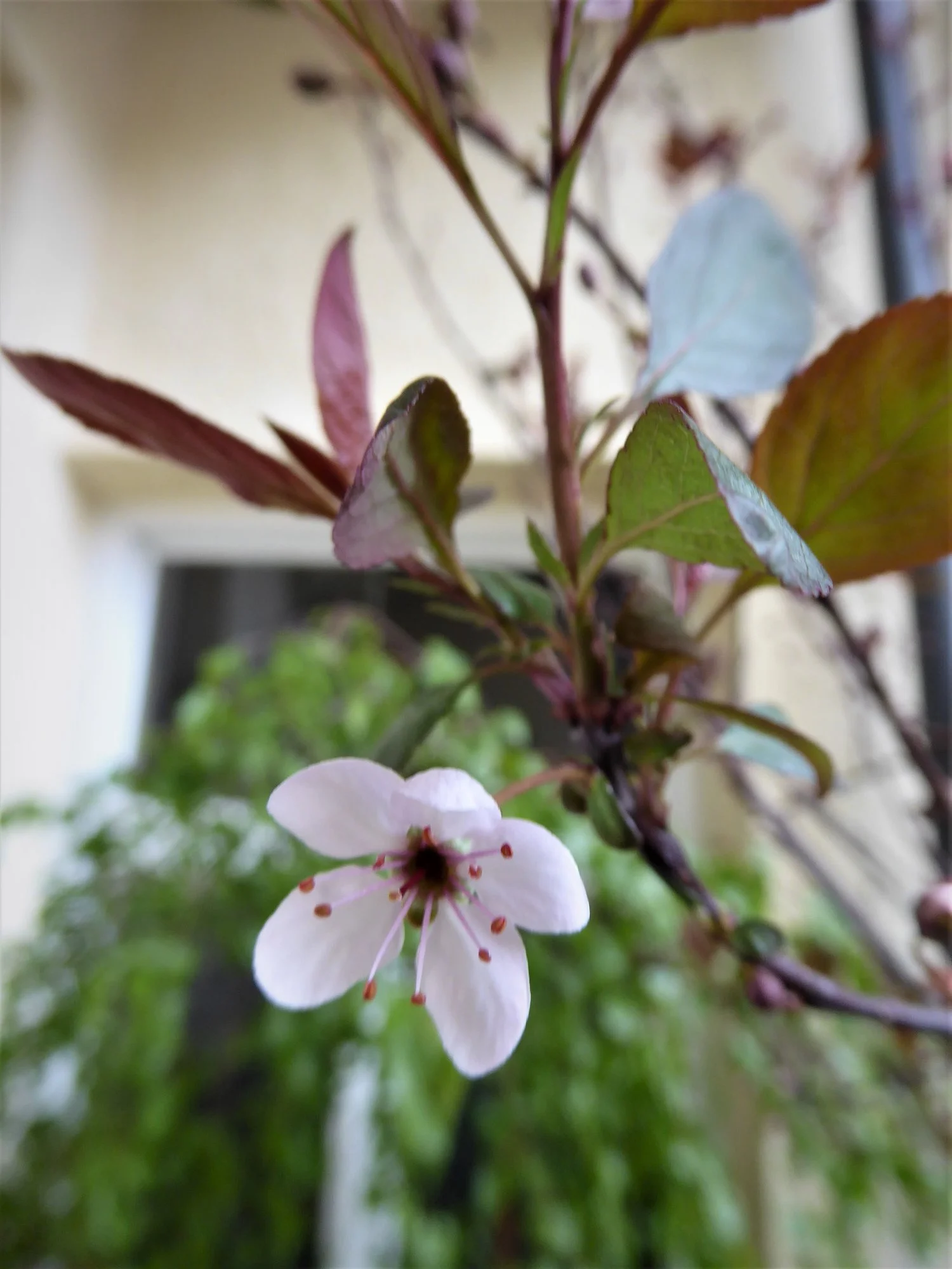 P1140615.webp