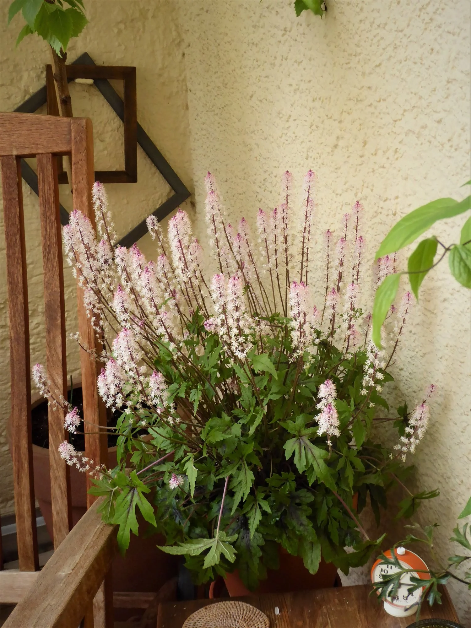P1140955.JPG