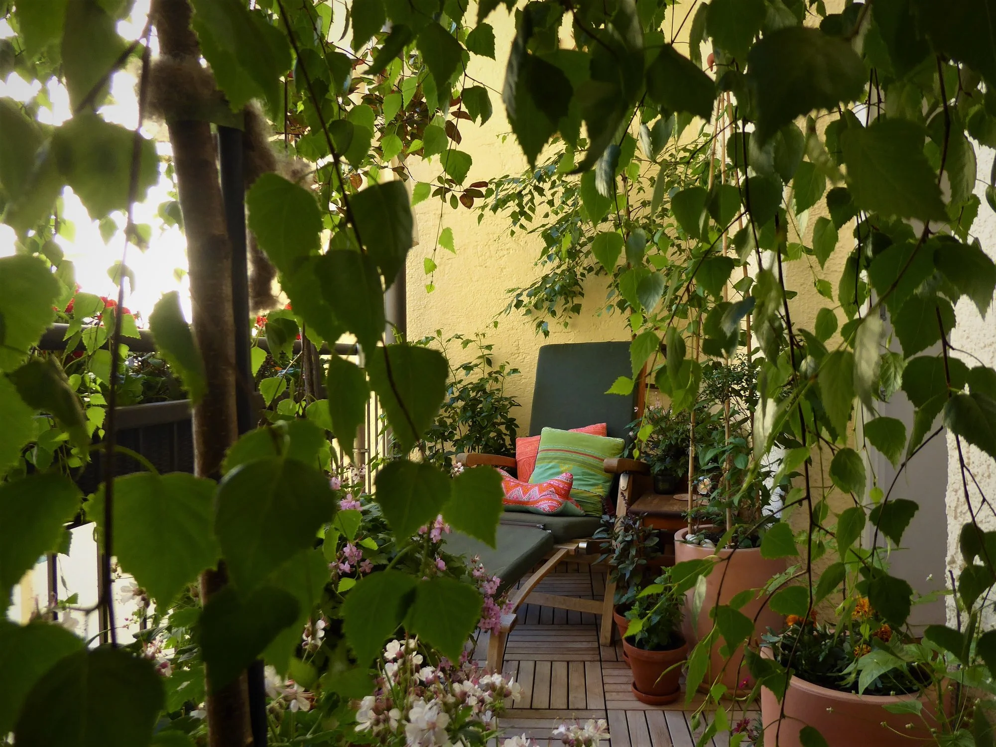P1150070.webp