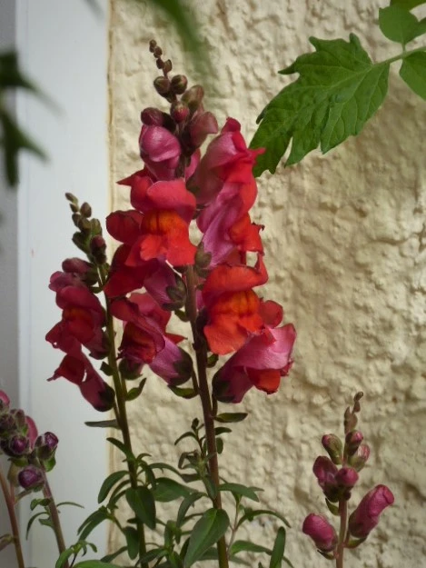P1150170.webp