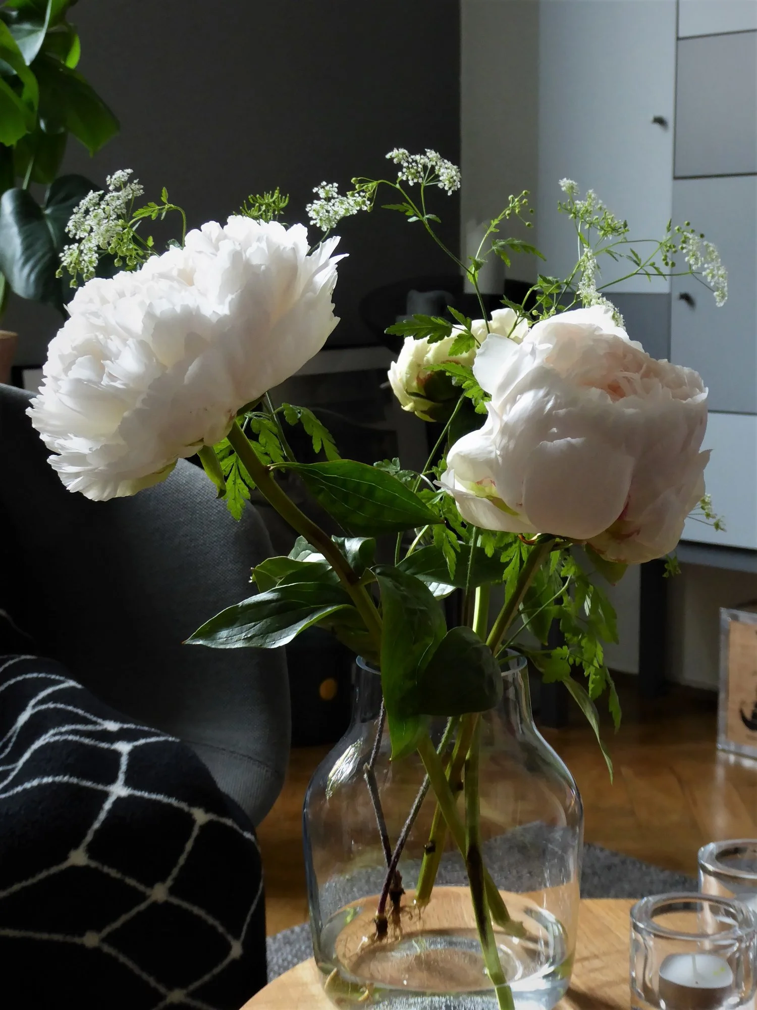 P1150200.webp