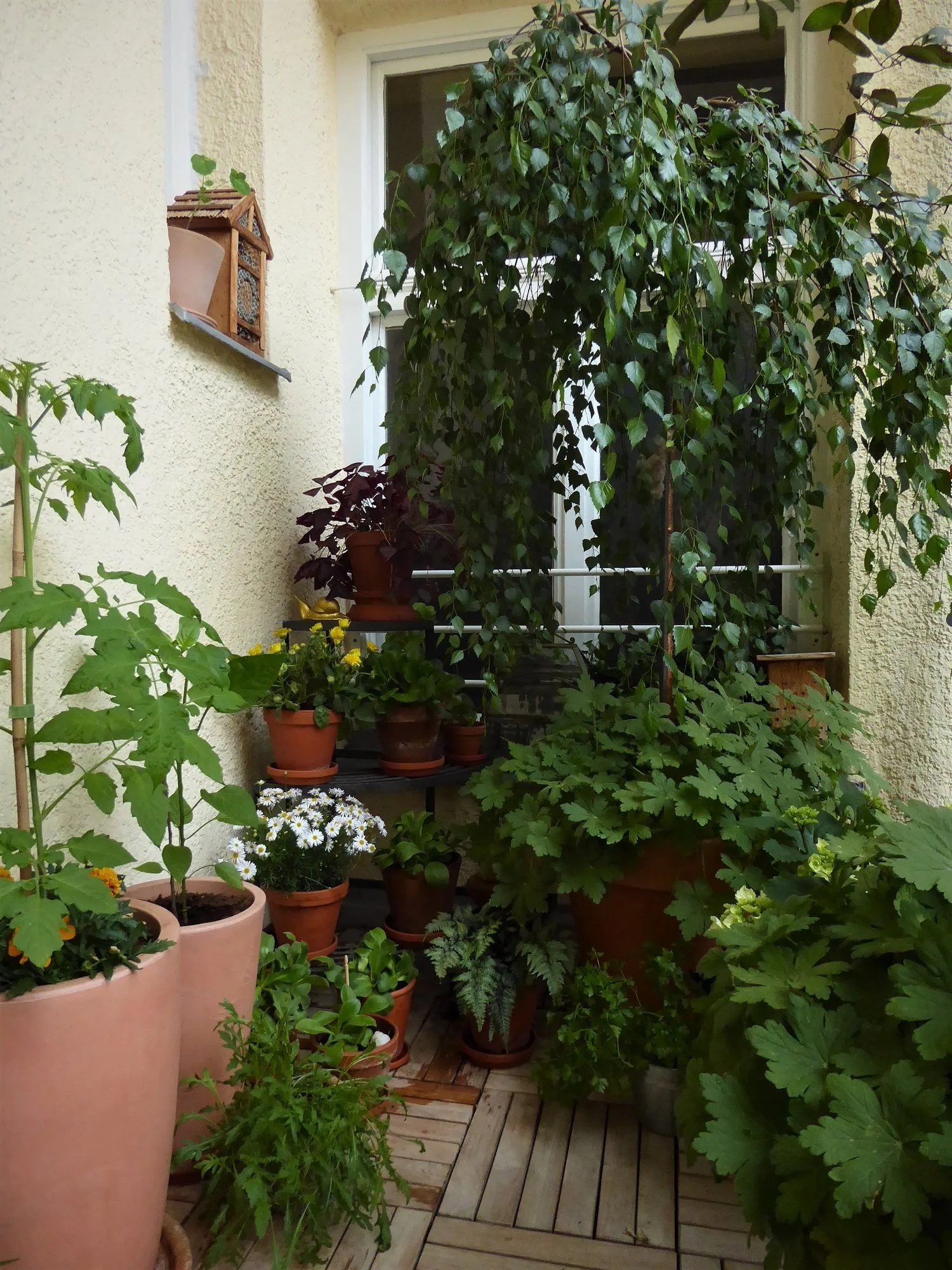 P1150206.webp