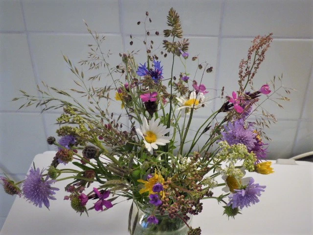 P1150224.webp