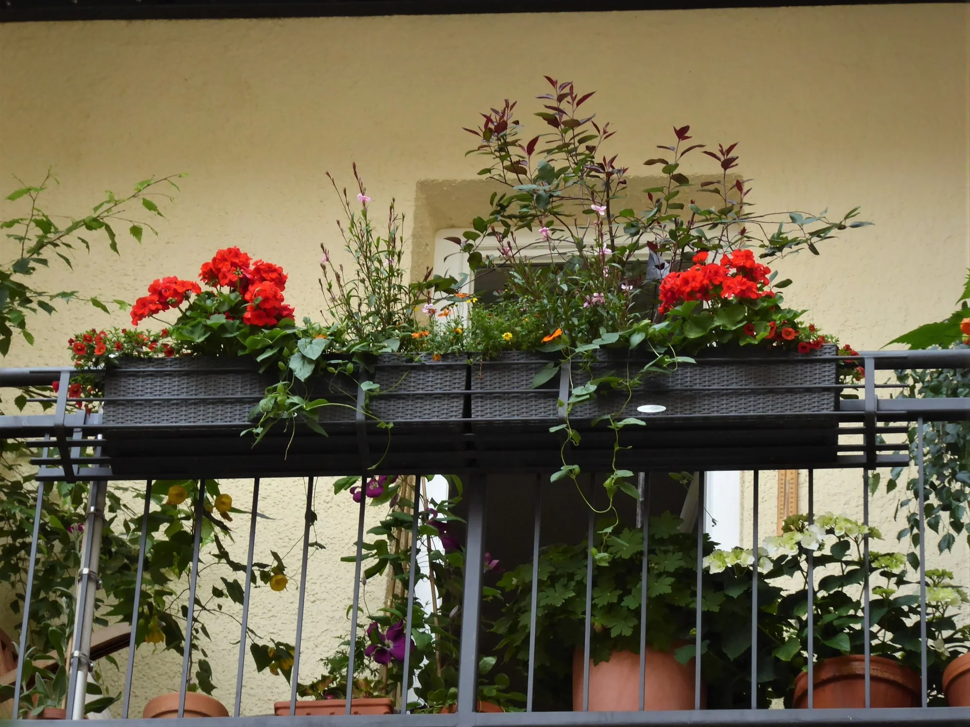 P1150280.webp
