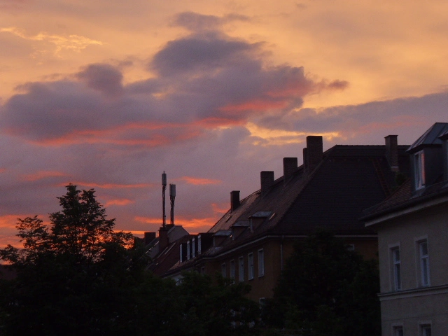 P1150352.webp