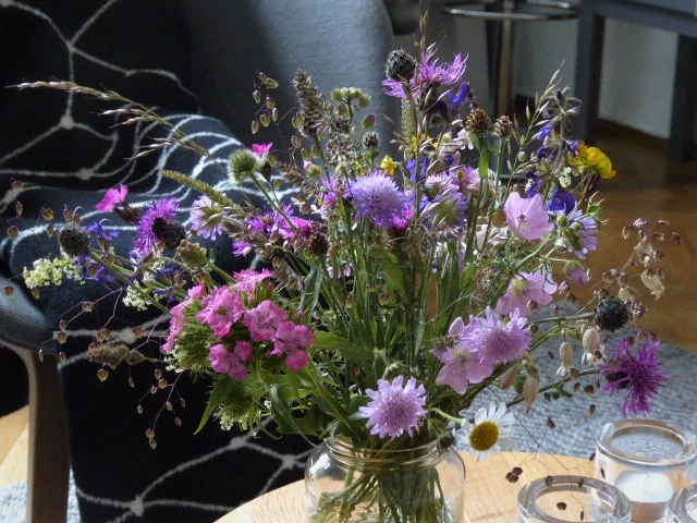 P1150448.webp