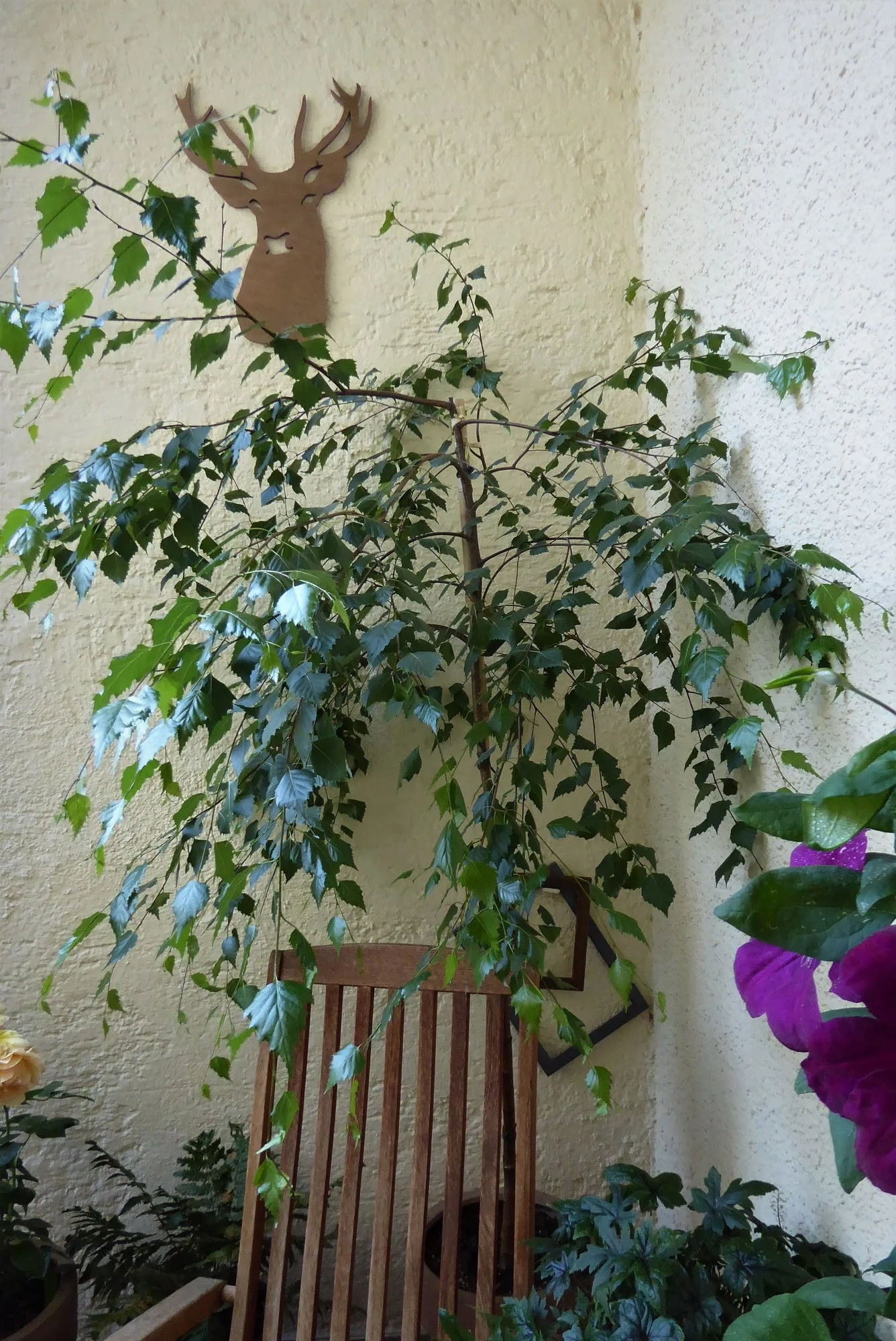 P1150489.webp