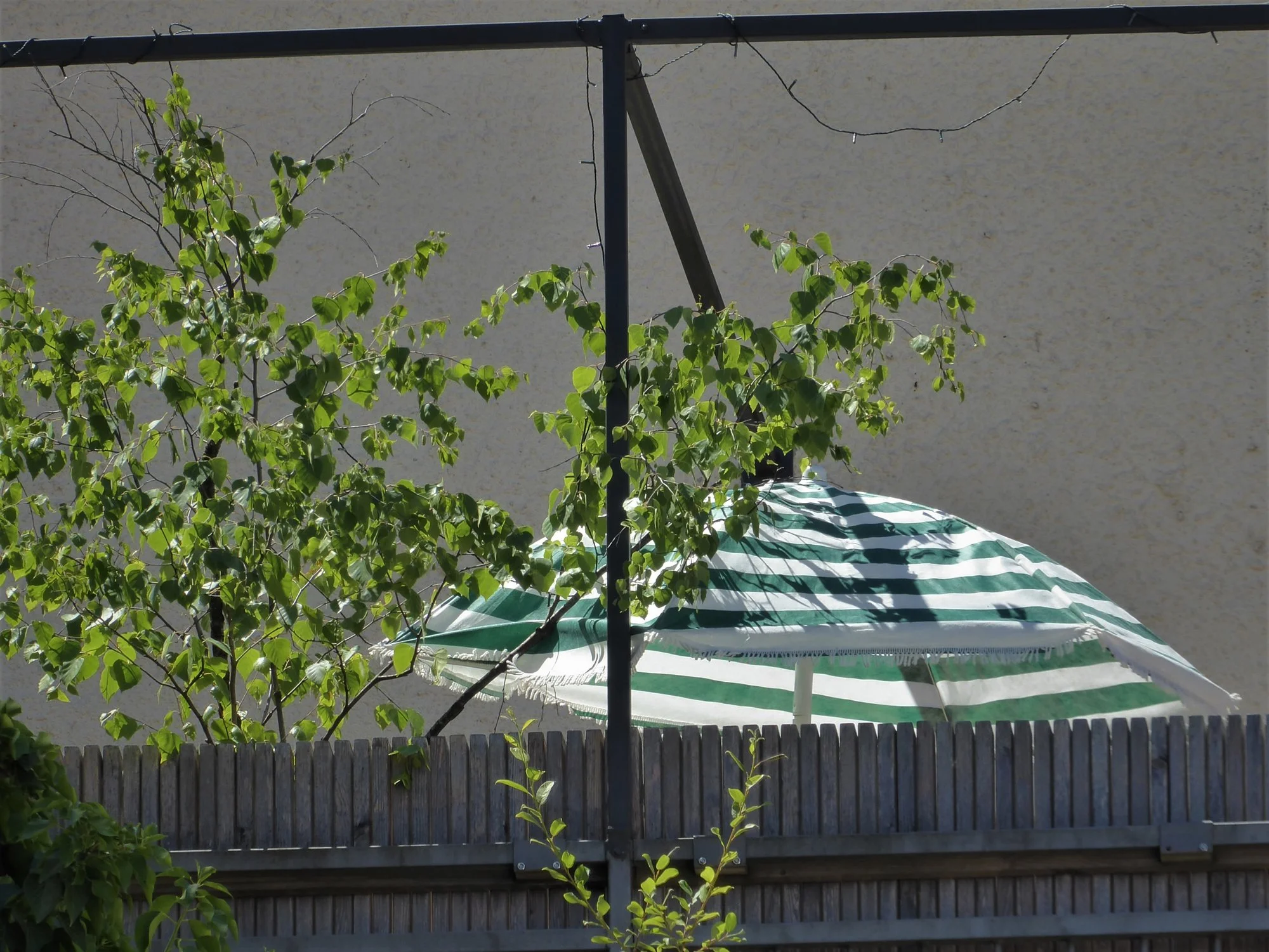 P1150657.webp