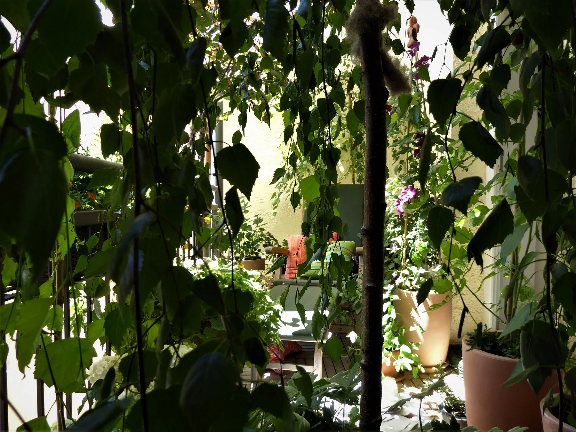 P1150674.webp