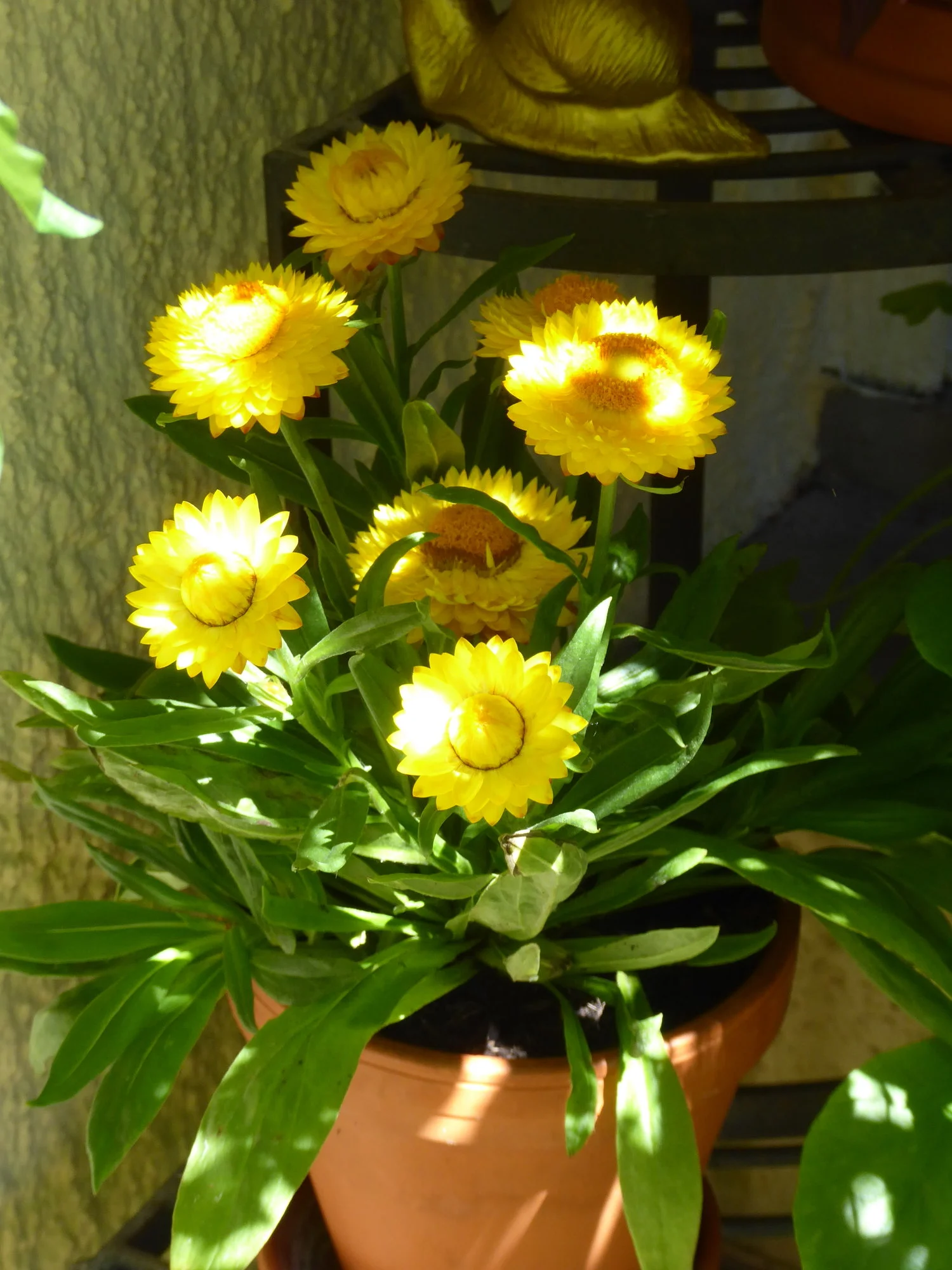 P1150799.webp