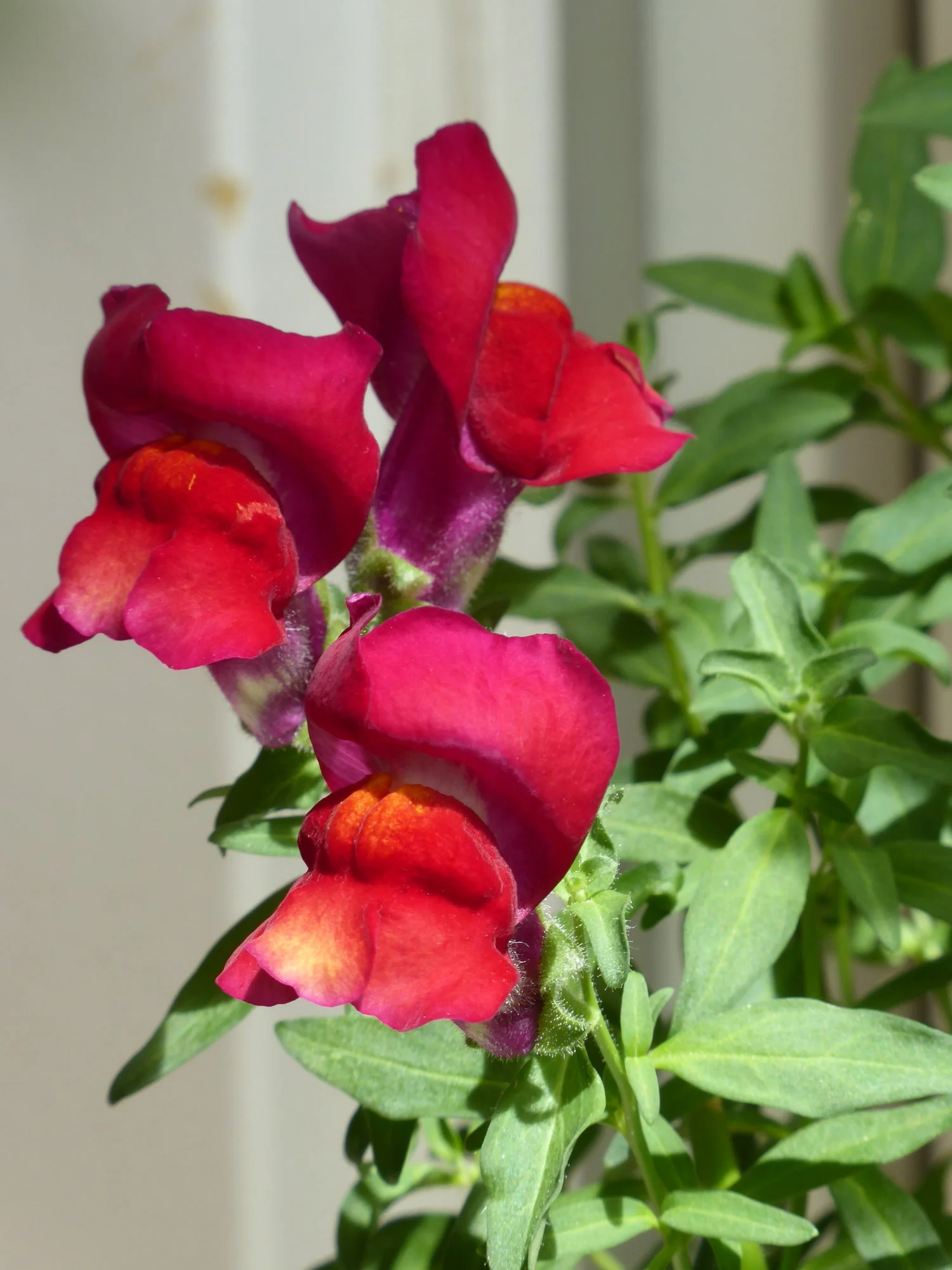 P1150969.webp