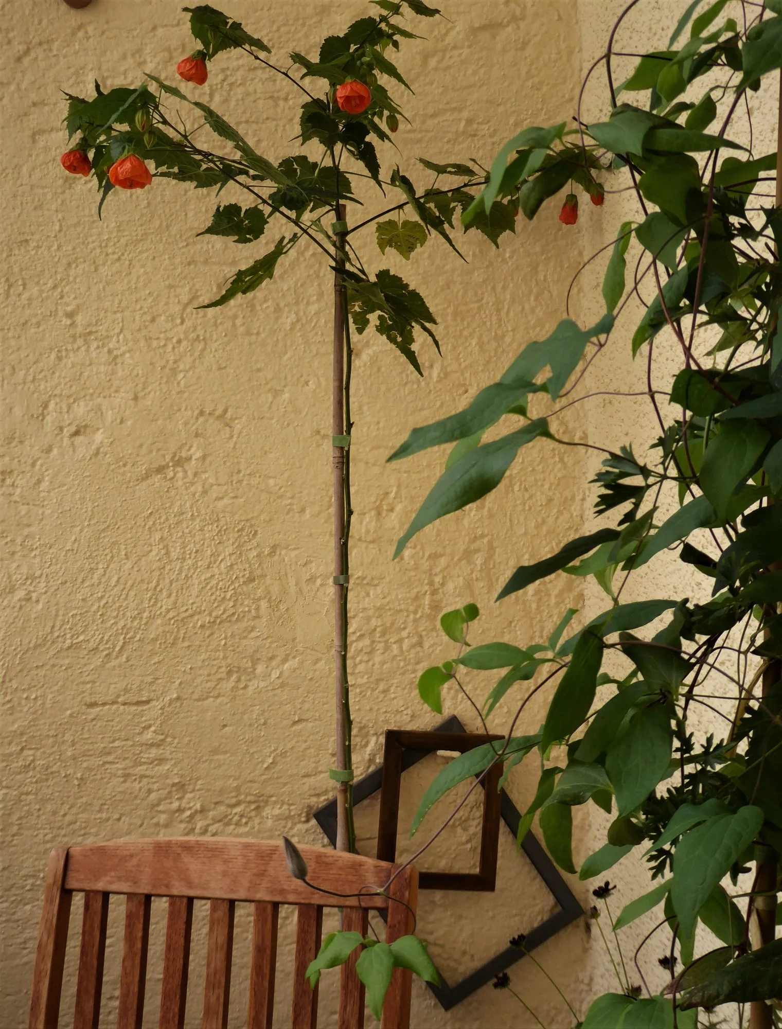 P1160520.webp
