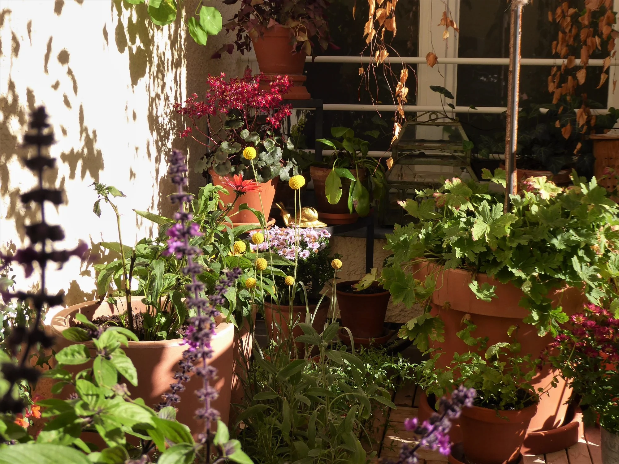P1160597.webp