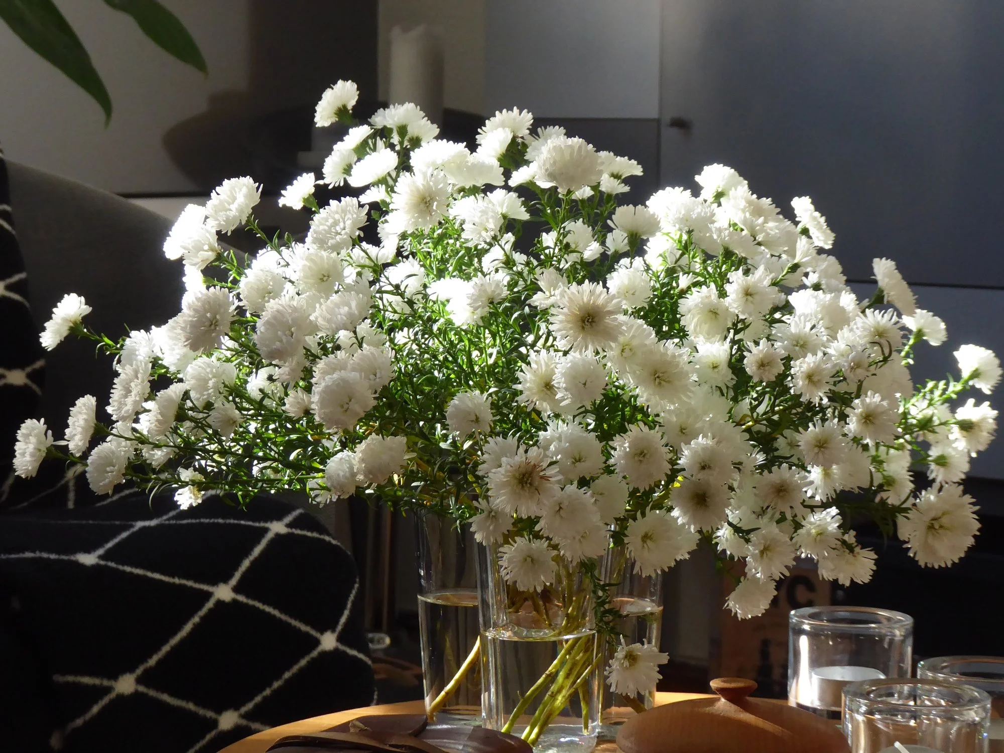 P1160651.webp