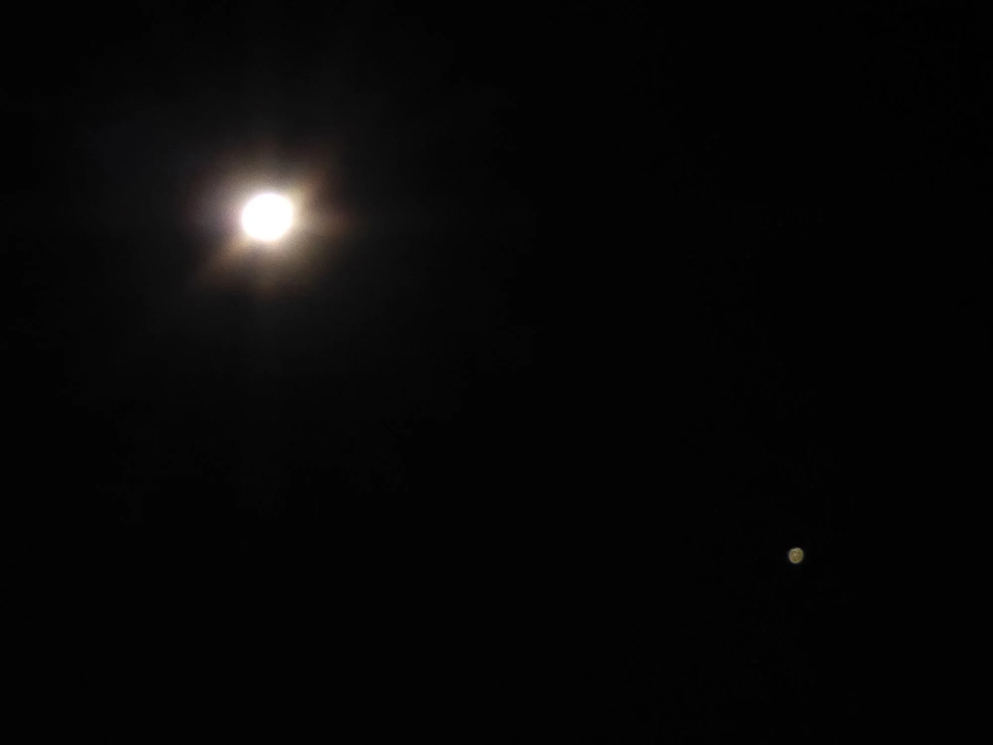 P1160665.webp