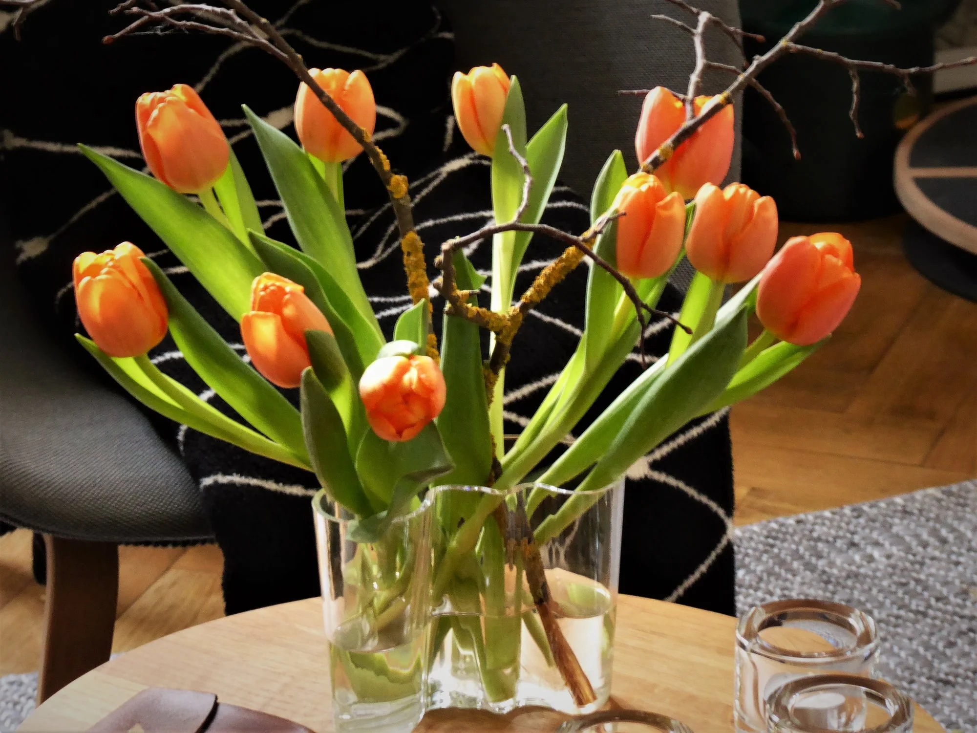 P1160883.webp