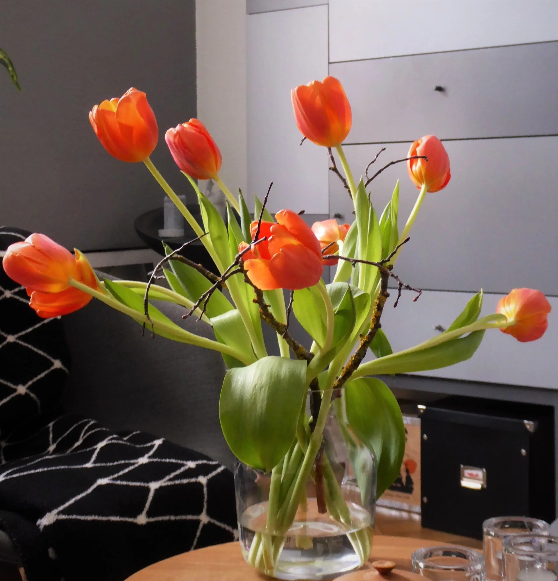 P1160912.webp